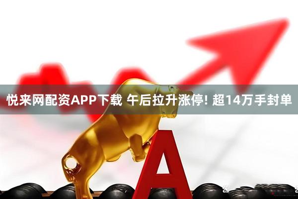 悦来网配资APP下载 午后拉升涨停! 超14万手封单