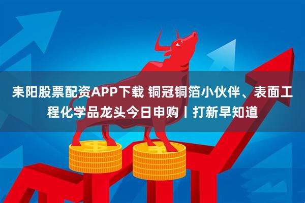 耒阳股票配资APP下载 铜冠铜箔小伙伴、表面工程化学品龙头今日申购丨打新早知道